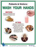 Wash 9 - Wash Your Hands 4