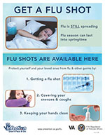 Flu 5 - Get A Flu Shot